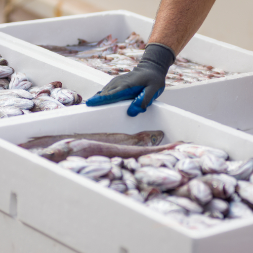 comptable poissonnier